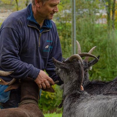 Andi bei der Schaf- und Ziegenherde
