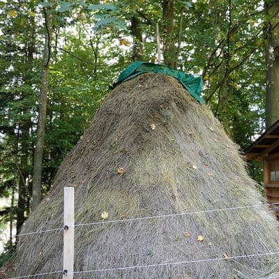 Traditioneller Heuhaufen